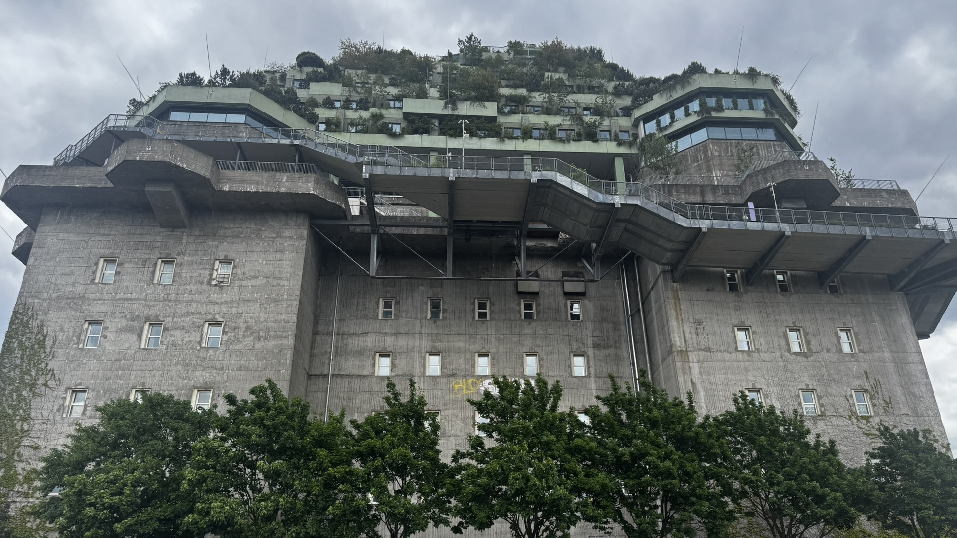 IMG_8109.JPEG